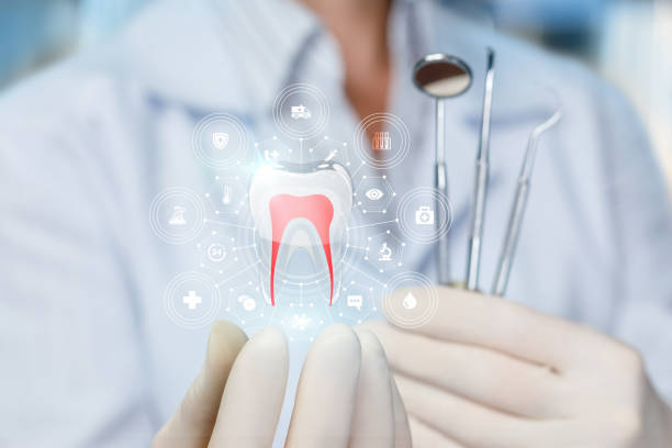 Trusted Carmel Valley Village, CA Holistic Dental Care Services Experts